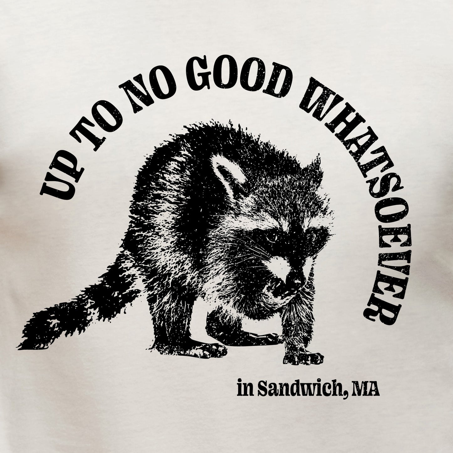 Up To No Good Whatsoever in Sandwich, Ma