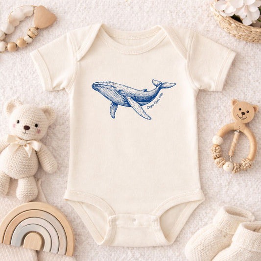 Whale, Cape Cod, MA - Kids