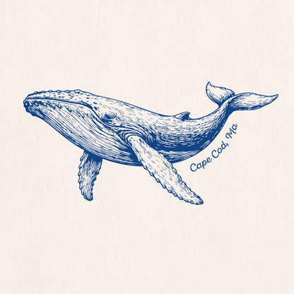 Whale, Cape Cod, MA - Kids