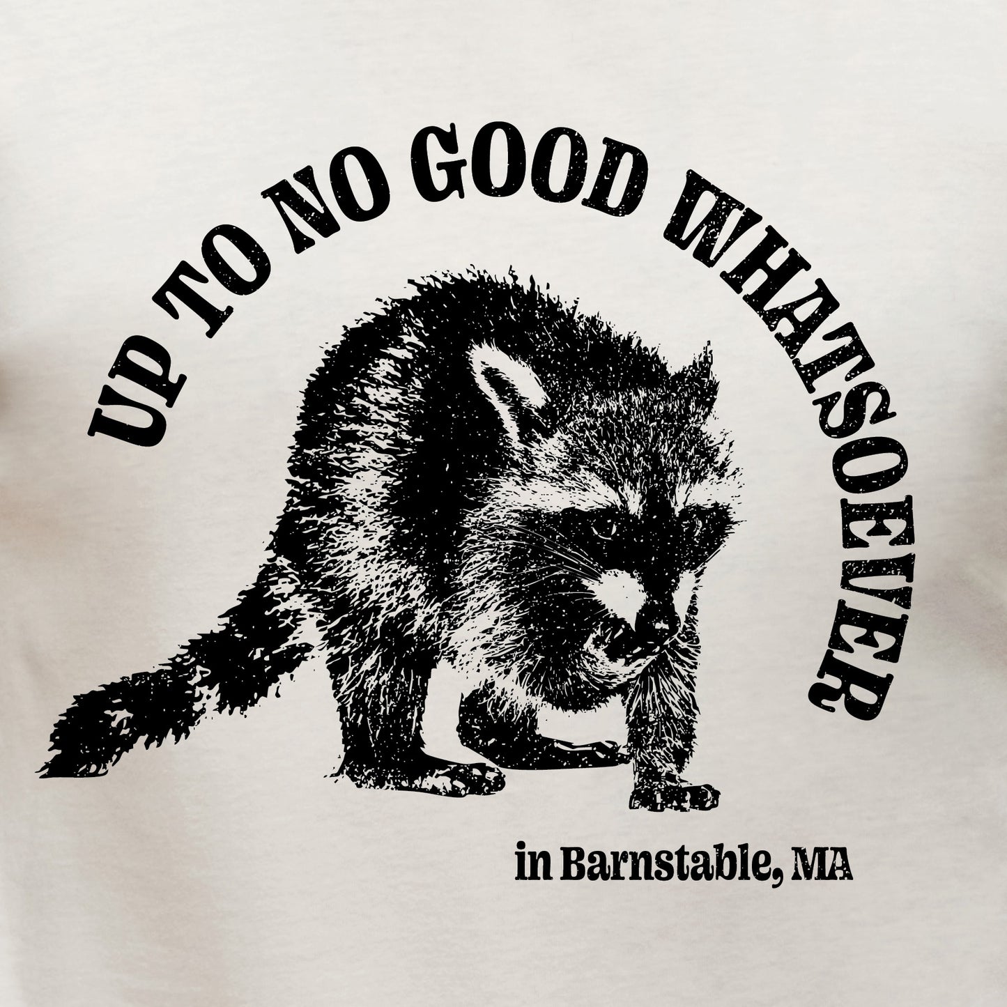 Up To No Good Whatsoever in Barnstable, Ma