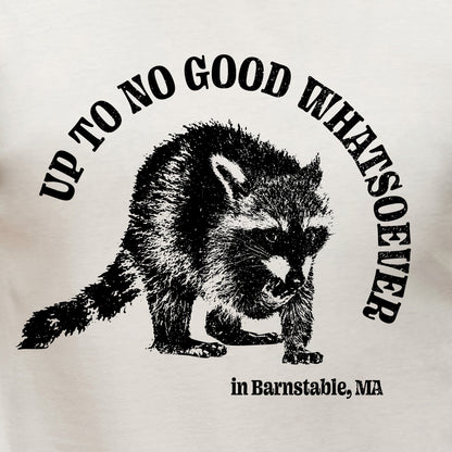 Up To No Good Whatsoever in Barnstable, Ma