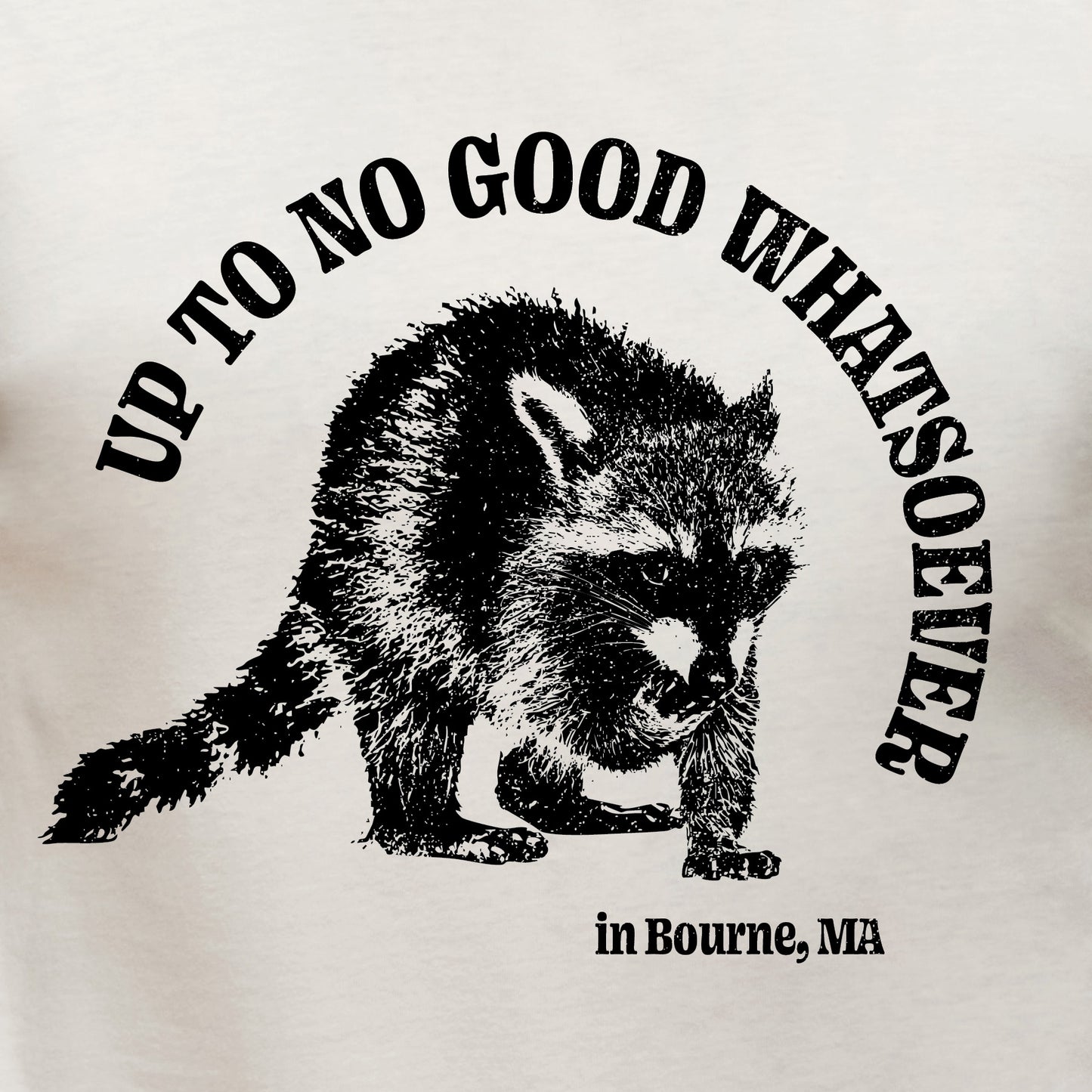Up To No Good Whatsoever in Bourne, Ma