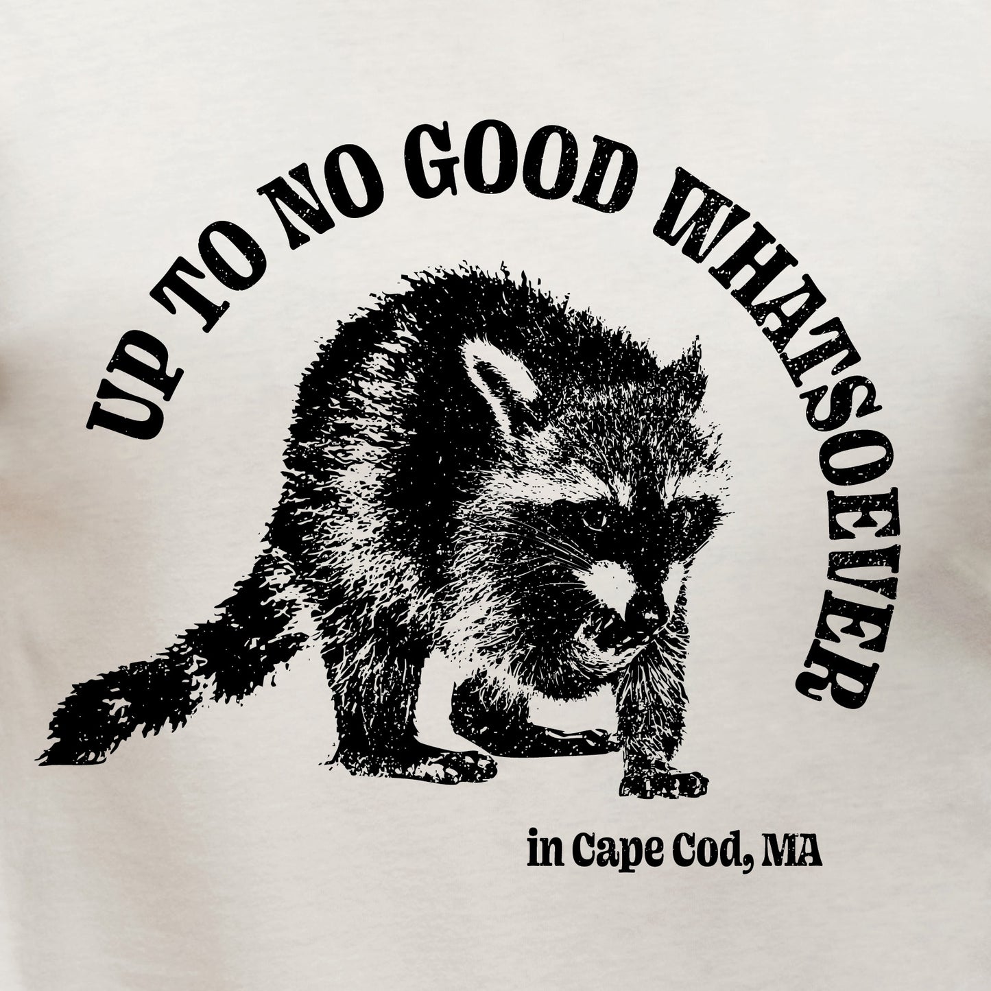 Up To No Good Whatsoever in Cape Cod, Ma