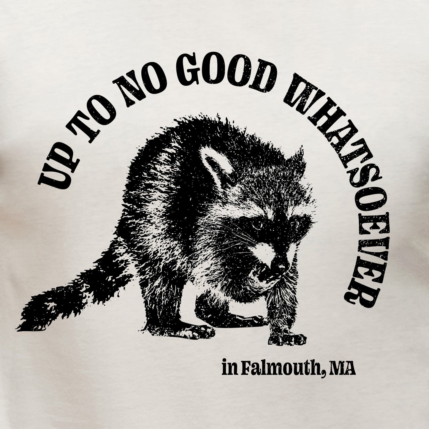 Up To No Good Whatsoever in Falmouth, Ma - Adult
