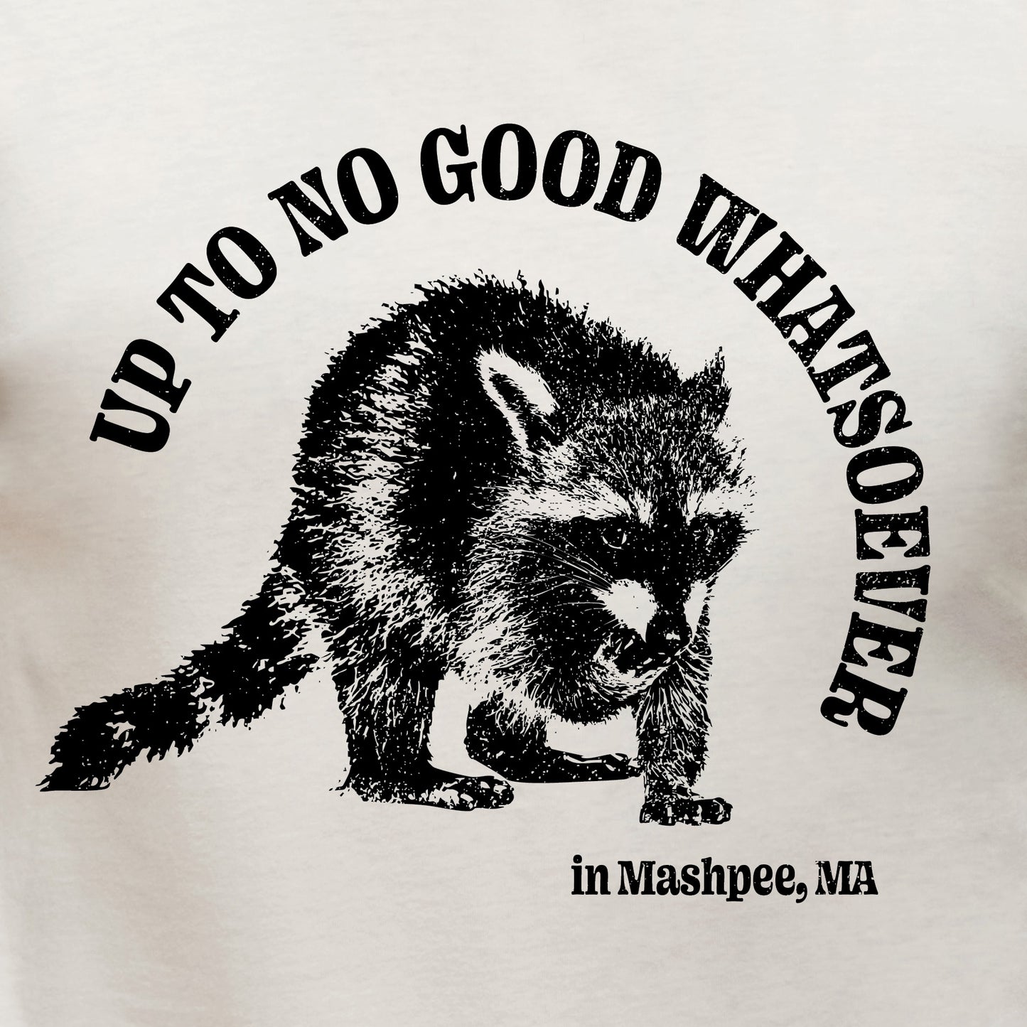 Up To No Good Whatsoever in Mashpee, Ma