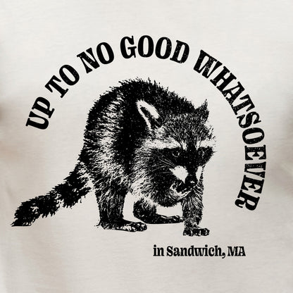 Up To No Good Whatsoever in Sandwich, Ma