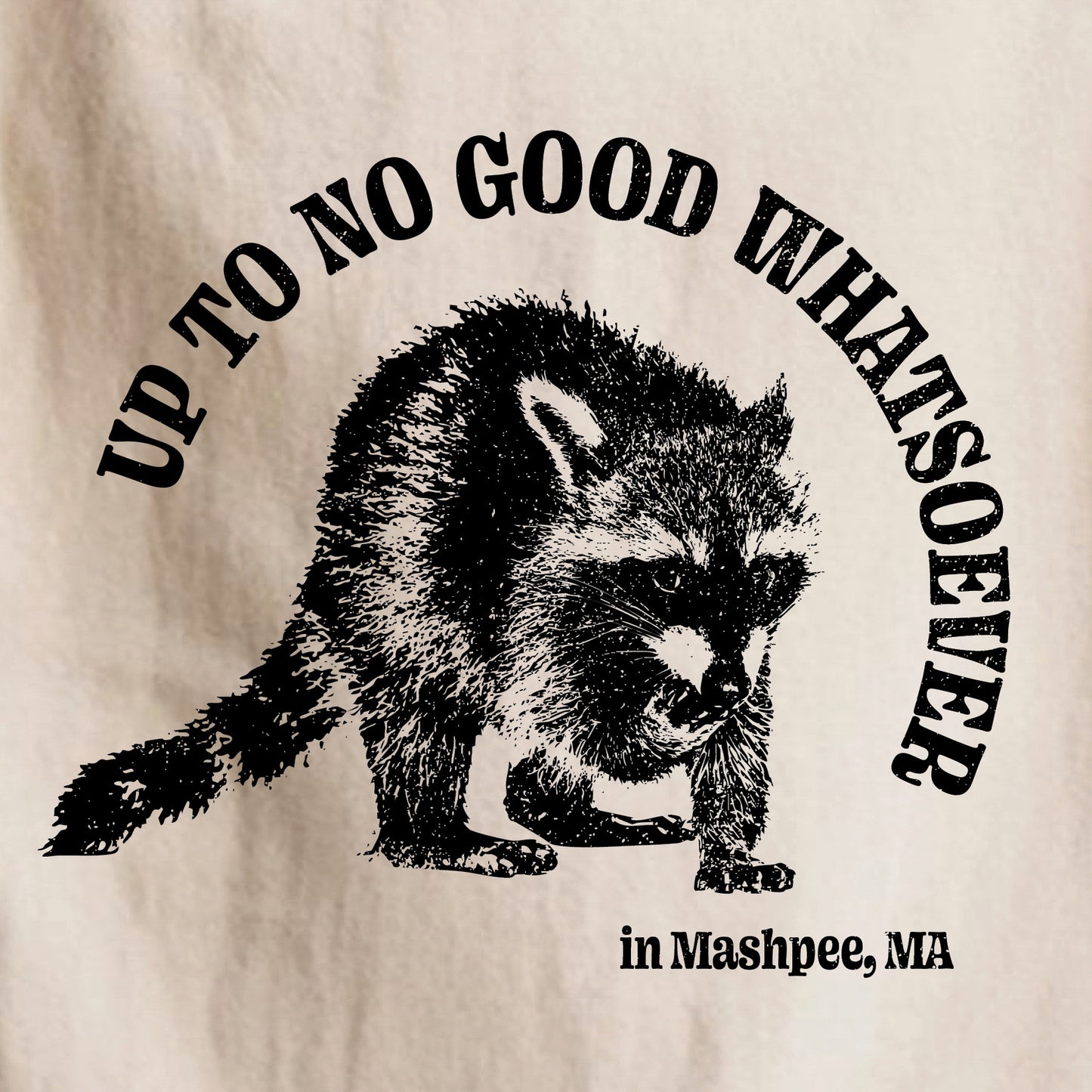 Up To No Good Whatsoever in Mashpee, MA - Kids