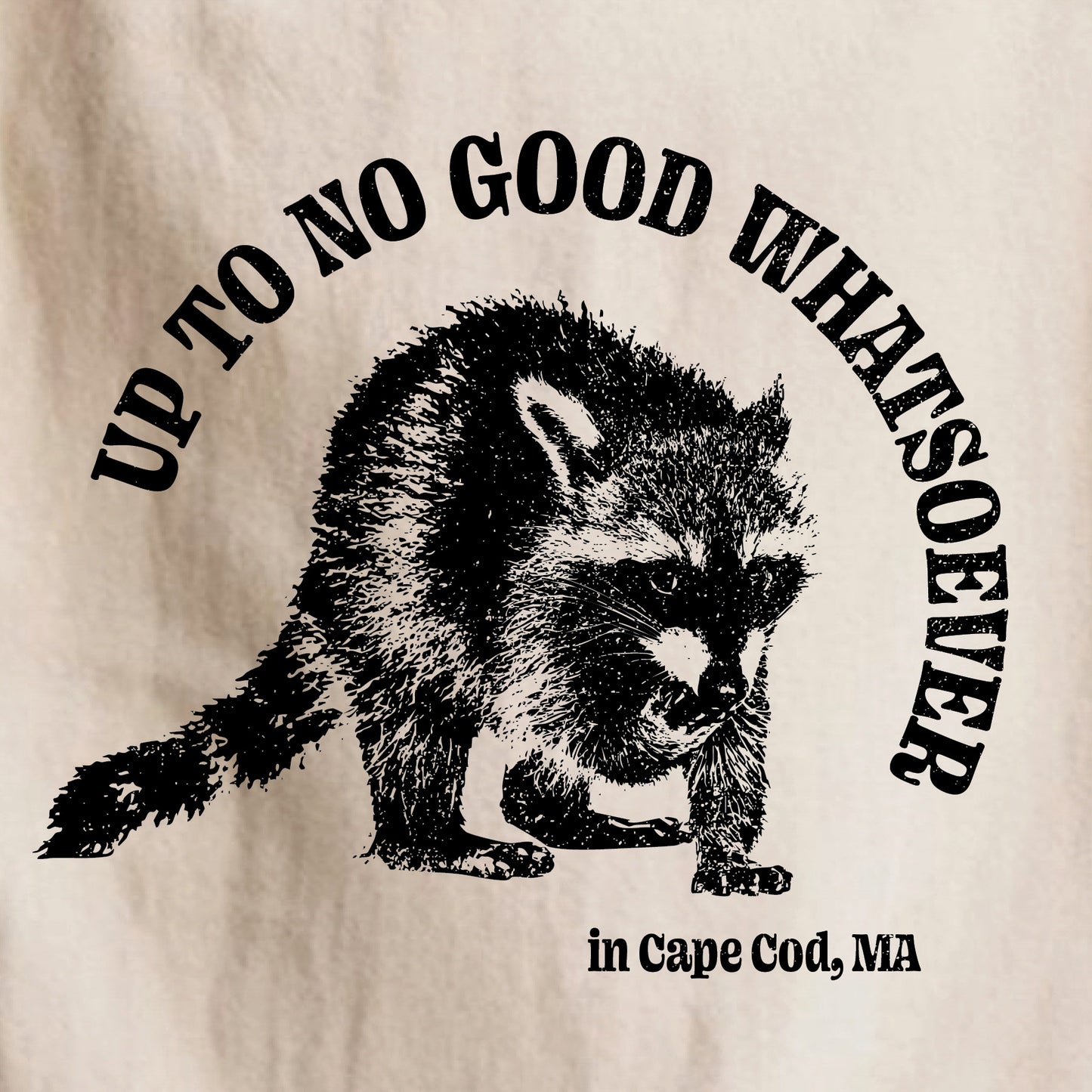 Up To No Good Whatsoever in Cape Cod, MA - Kids