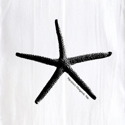 Starfish, Martha's Vineyard - Kitchen Towel